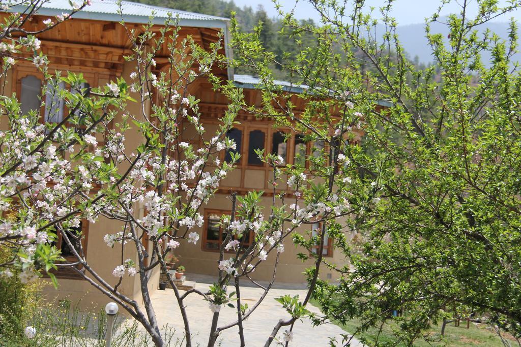 Rema Resort Paro Phòng bức ảnh