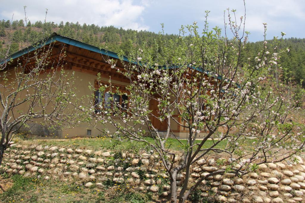 Rema Resort Paro Phòng bức ảnh
